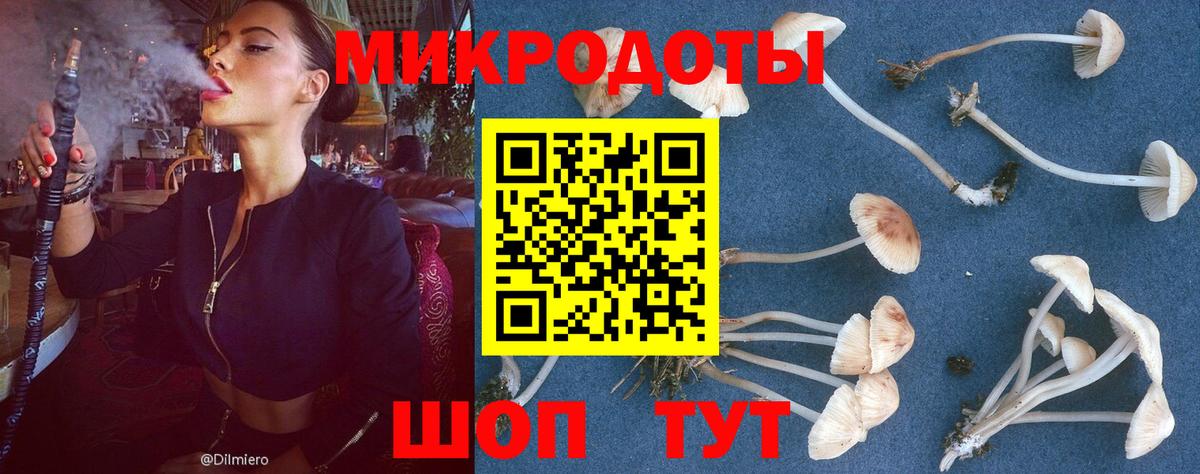 Назрань  Псилоцибиновые грибы ЛСД  Псилоцибиновые грибы Psilocybine cubensis  цена наркотик  Вход с VPN 