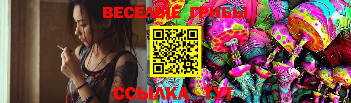 Псилоцибиновые грибы GOLDEN TEACHER Назрань